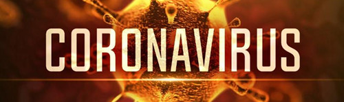 coronavirusV2